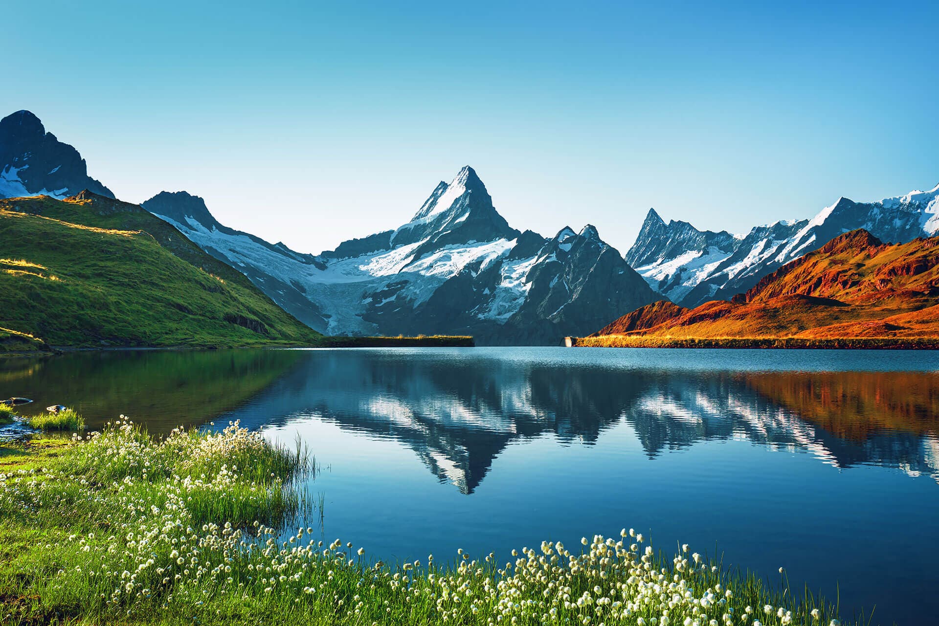 Swiss Adventure